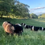 The Role of Livestock on the Farm